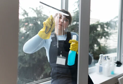 Nettoyage de vitres intérieures et extérieures à Moulin-Neuf